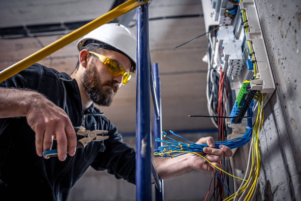 Best Electric Panel Repair  in Belington, WV